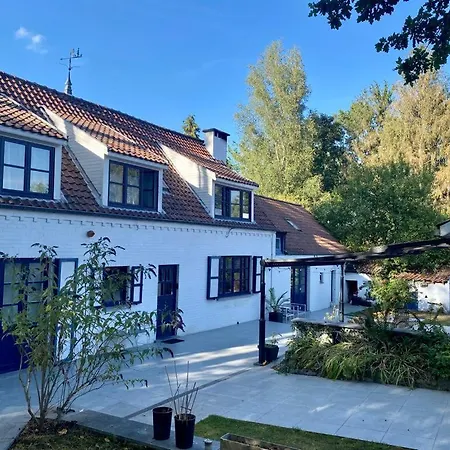 La Chanterelle Willa Wavre